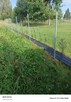 Tanie ogrodzenie Budowlane siatka leśna metalowe słupki - 3