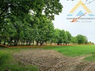 Oferta dla dewelopera działka 4,1 ha, Tychowo - 12