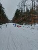 Wynajmę mieszkanie ul. Wittenberga - 7