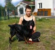 Energiczny Goofy szuka DT! - 6