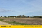 DZIAŁKA NAD MORZEM W JASTRZĘBIEJ GÓRZE - 5