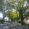 Warszewo | 3 pokoje | garaż | park | szkoła - 15