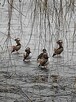 Szukam kobiety do stałego związku jestem wolny - 2