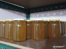 Miód Wielokwiatowy zbiór 2026 słoik 0,9L Pyłek Pierzga - 6