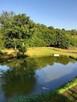 Szukam młodej pani - cała Polska - 7