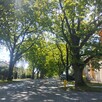 Warszewo | 3 pokoje | garaż | park | szkoła - 11