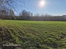Działka widokowa 30 ar – Nowy Borek / Przylasek