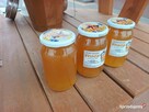 Miód Wielokwiatowy zbiór 2026 słoik 0,9L Pyłek Pierzga - 5