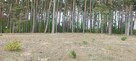 Działka na sprzedaż Chomiąża Szlachecka - 5
