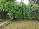 Działka ROD Golikówka Kraków 250 m2 prąd woda - 9