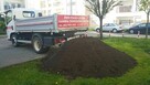 Ziemia Ogrodowa, Ziemia pod Trawnik Wywrotki 1-27ton Poznań - 12