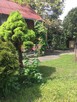 Sprzedaż działki ROD - 6