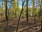 Jedlicze B, ul. Letniskowa - ustawna, zalesiona - 4