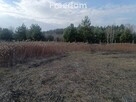 Zgrabna działka 15 min do Piaseczna gm.Prażmów - 3