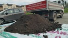 Ziemia Ogrodowa, Ziemia pod Trawnik Wywrotki 1-27ton Poznań - 7