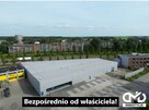 Hala stalowa 2700 m² | Konstrukcja kompletna | Produkcja / M - 5
