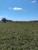 Sprzedam działkę rolną 4,91 ha Woźnice. Gmina Mikołajki. - 2