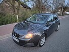 Seat Ibiza 2009 igla - 2