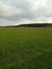 Sprzedam działkę rolną w Sarzynie 40 arów