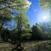 Działka budowlana w lesie z WZ pod dom 7900m - 5