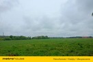 sprzedaż gosp. rolnego Gurba koło Mszczonowa -5 km - 7