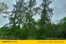sprzedaż gosp. rolnego Gurba koło Mszczonowa -5 km - 8