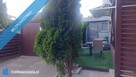 Umeblowany bezczynszowy apartament - 11