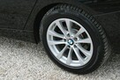 BMW 3GT Advantage Led Navi SalonPL netto 68 211 PLN Gwarancja - 12
