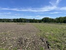 Działka budowlana Karczów gm. Dąbrowa, Grobla - 2