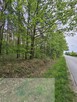 Leśna działka na sprzedaż - 2