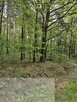 Leśna działka na sprzedaż - 6