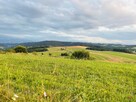 Działka rolna- Łapsze Wyżne- Nowy Targ- Podhale - 3