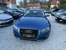 Audi A5 Bardzo ładny egzemplarz, Quattro, Alufelgi 19", Nawigacja. - 13