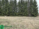 Działka pod bliźniaka niedaleko lasu - 5