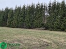 Działka pod bliźniaka niedaleko lasu - 6