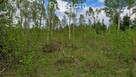 Malownicza działka 750m od jez Narie Warmia Mazury - 4
