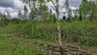 Malownicza działka 750m od jez Narie Warmia Mazury - 5
