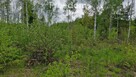 Malownicza działka 750m od jez Narie Warmia Mazury - 14
