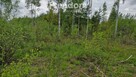 Twoje miejsce ciszy–750m od jeziora Warmia Mazury - 4