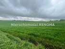 Działka Jastrzębie-Zdrój Borynia, Plebiscytowa - 7