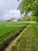Działka Jastrzębie-Zdrój Borynia, Plebiscytowa - 10