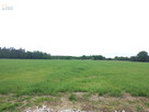 Działka budowlana Janów gm. Młodzieszyn, - 2