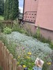 Lokal mieszkalny blisko jezior na Mazurach dom - 9