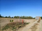 Sprzedam działkę nad jeziorem Głuszyńskim - 2