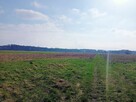 Działka 3000m2 tylko 50000zł - 7