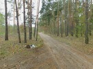 Syndyk sprzeda - Radom, ul. Andersena - 3
