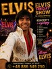 POLSKI ELVIS PRESLEY