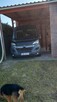 Citroen Jumper