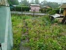 Działka rekreacyjna - 3
