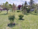 Działka Mazury Ełk - Regielnica 570 m2 - 8